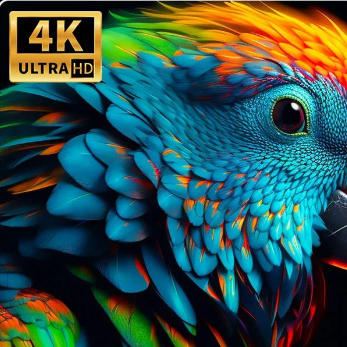 MX10-F3 TV Stick 4K Android 11 – TV Box con Wifi